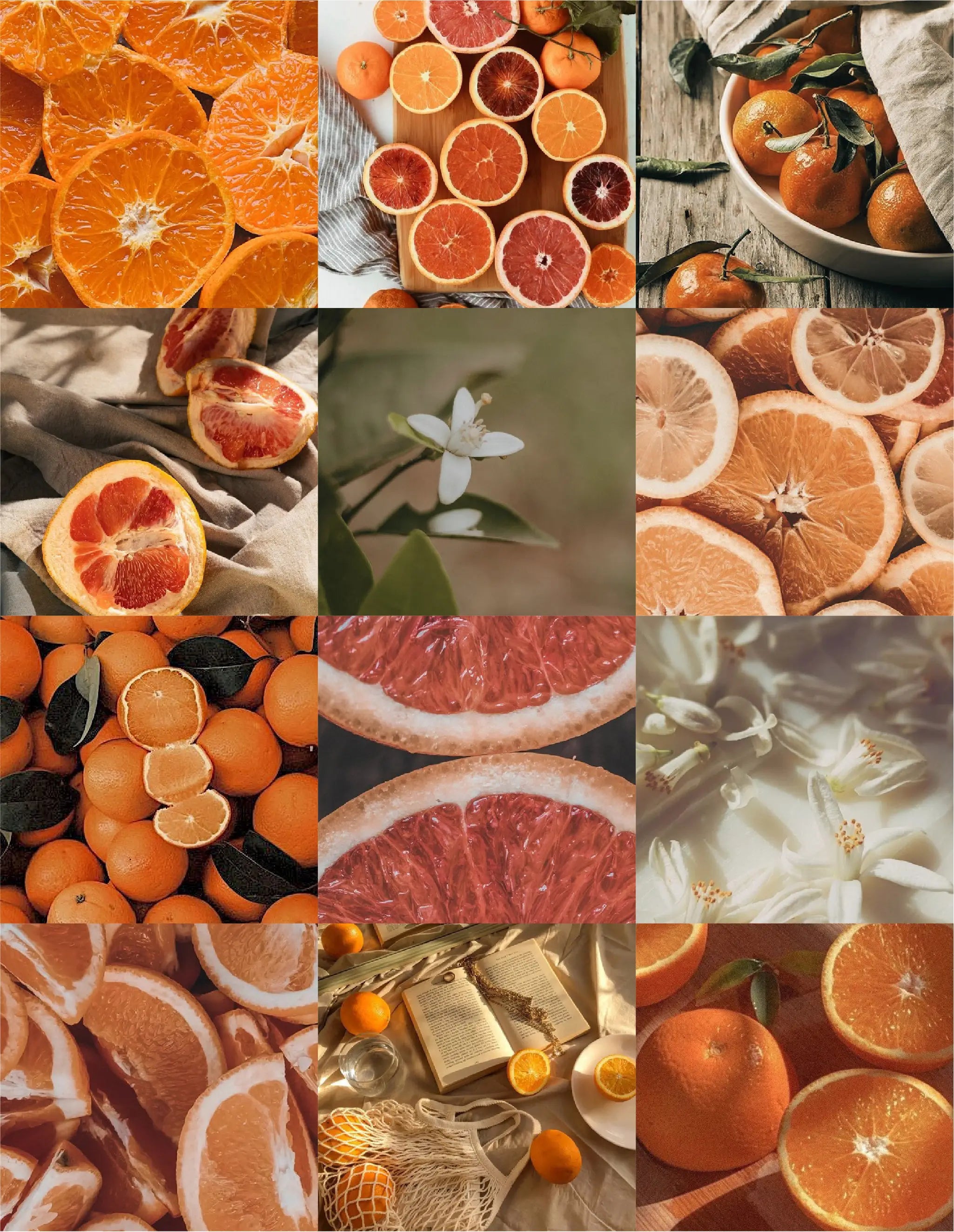 Composition visuelle parfum fleur d'oranger