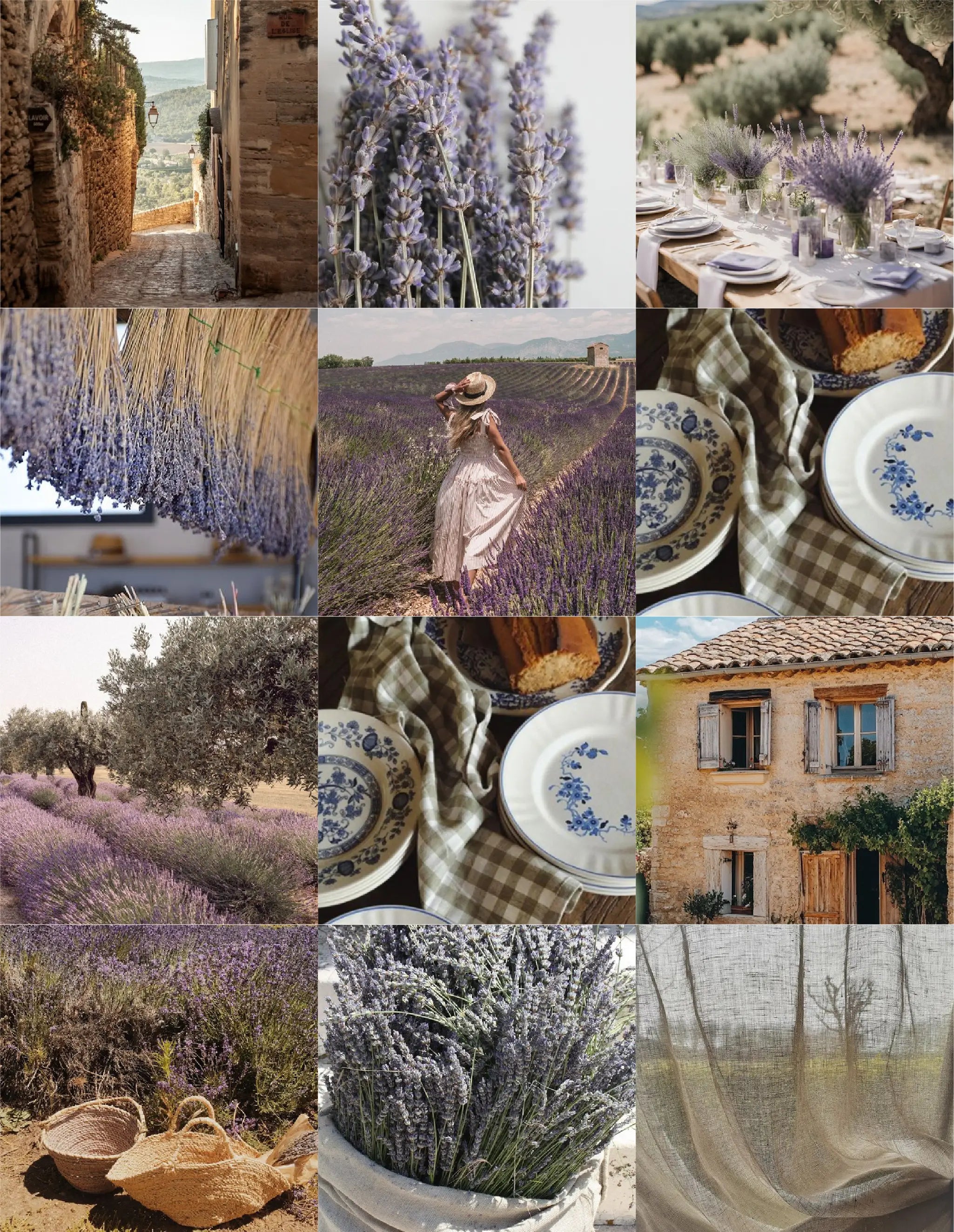 Composition visuelle fragrance lavande