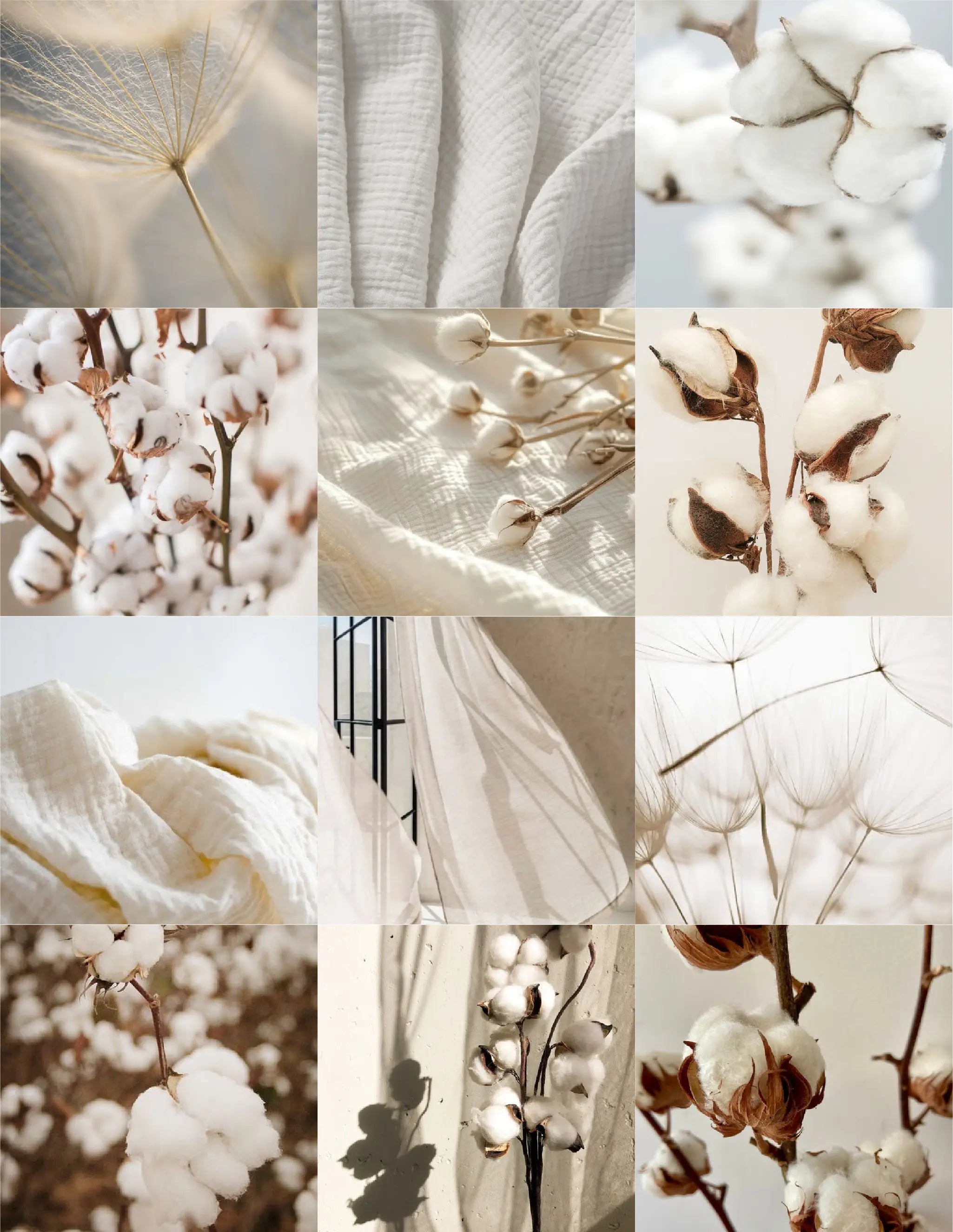 Douceur de Coton